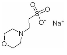 CAS 71119-23-8 MES-NA 2-(N-Morpholino)Ethanesulfonic Acid Sodium Salt