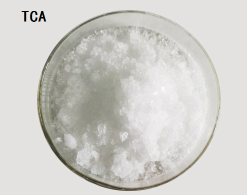 CAS 302-17-0 Chloral Hydrate (TCA) C2H3Cl3O2